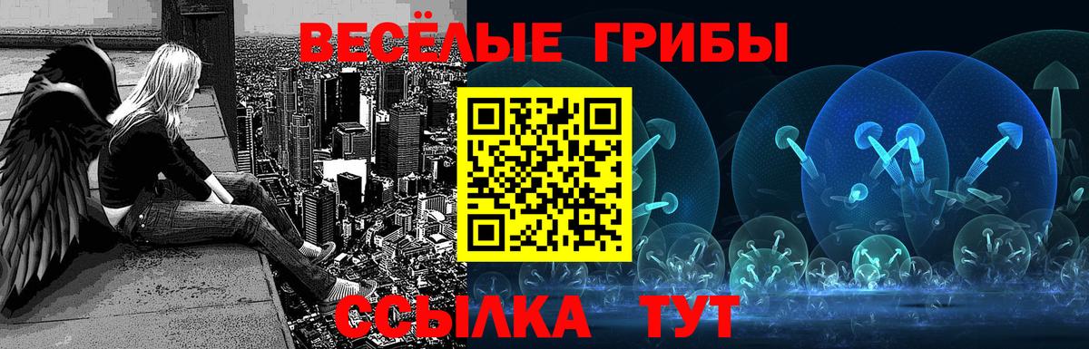 Галлюциногенные грибы Psilocybe  Вход с VPN  Черкесск 
